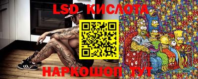 a pvp Краснознаменск