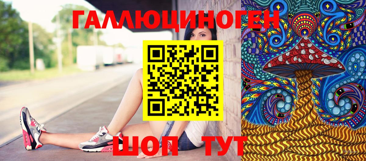 Псилоцибиновые грибы Psilocybe Благовещенск